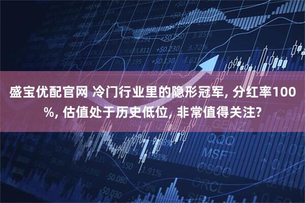 盛宝优配官网 冷门行业里的隐形冠军, 分红率100%, 估值处于历史低位, 非常值得关注?