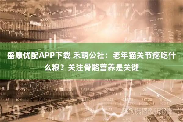 盛康优配APP下载 禾萌公社：老年猫关节疼吃什么粮？关注骨骼营养是关键