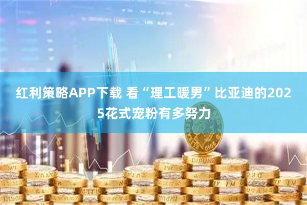 红利策略APP下载 看“理工暖男”比亚迪的2025花式宠粉有多努力