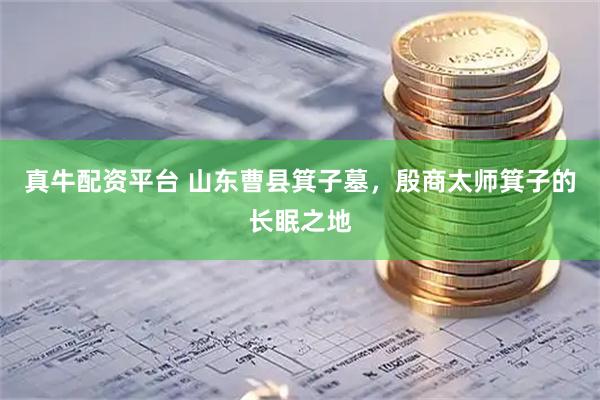 真牛配资平台 山东曹县箕子墓，殷商太师箕子的长眠之地